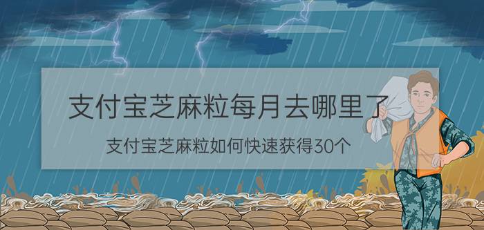 支付宝芝麻粒每月去哪里了 支付宝芝麻粒如何快速获得30个？